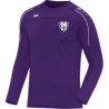 VfL Pirna-Copitz Sweat Junior