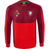 SF01 Dresden Sweatshirt Junior