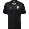 SV Medizin Bad Gottleuba Trikot Senior