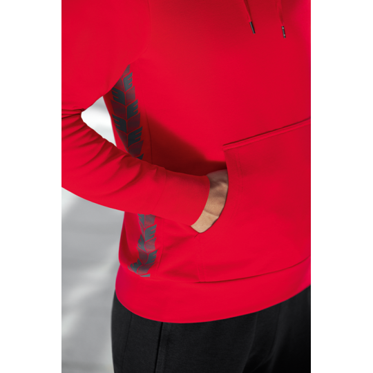 DSC Verein Essential Hoodie Unisex