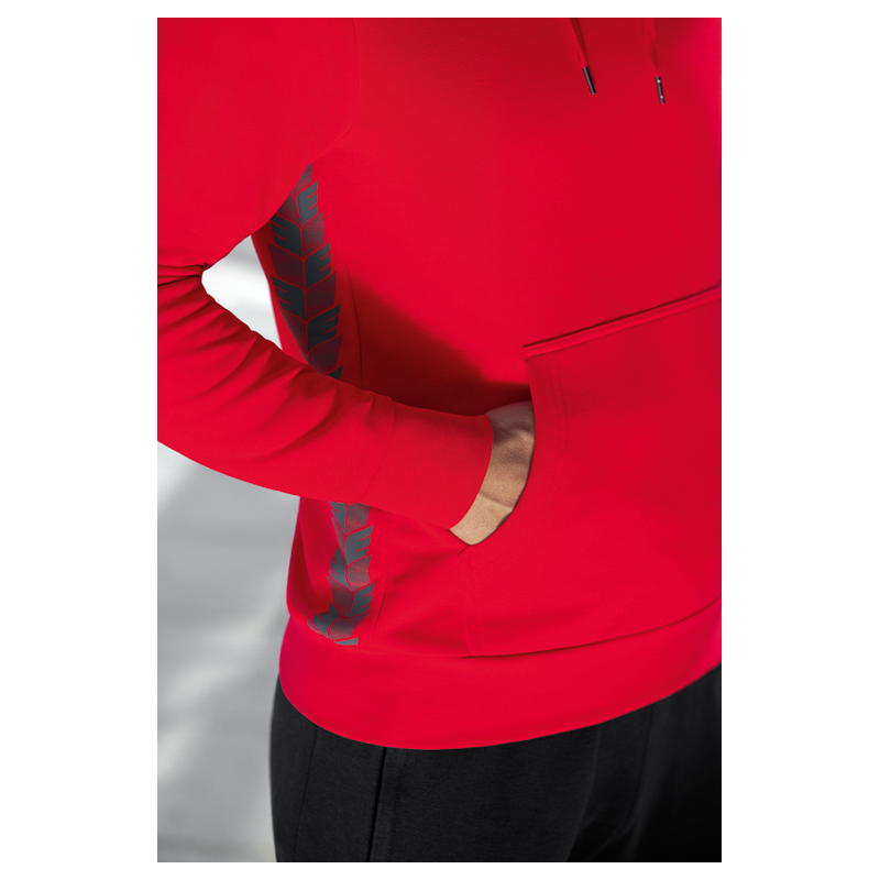 DSC Verein Essential Hoodie Unisex