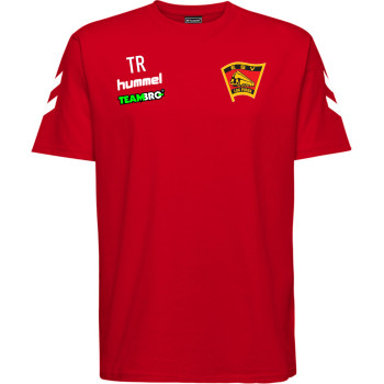 ESV Lok Pirna Freizeitshirt Kids