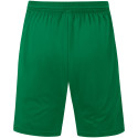 TSV Langhennersdorf Sporthose Allround Unisex