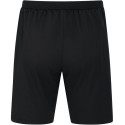 TSV Langhennersdorf Short Allround Unisex