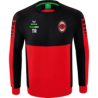 Fortuna Langenau Sweatshirt Kinder