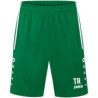 SG Kreinitz Sporthose Allround Junior