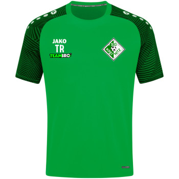 SG Kreinitz T-Shirt Junior