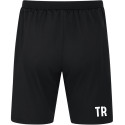 SG Kreinitz Trainingsshort Active Unisex