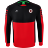 DSC Verein Sweatshirt Kinder