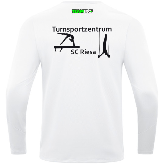 SC Riesa Sweat Turnen Kinder