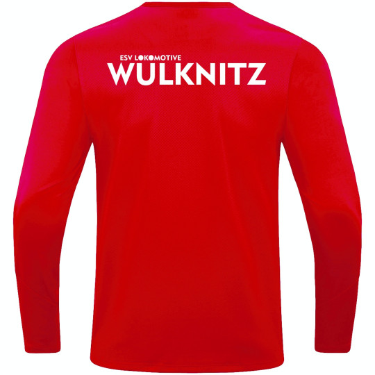 ESV Lok Wülknitz Herren Sweat Power rot