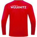 ESV Lok Wülknitz Herren Sweat Power rot