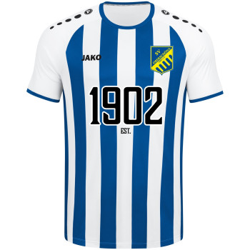 SV Oberschöna Trikot ALLSTAR