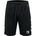 HV Chemnitz Shorts Herren