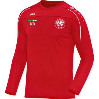 Boxring  Dresden Herren Sweat