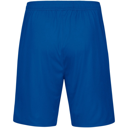 Hainichener FV Unisex Sporthose royal/citro