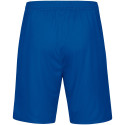 Hainichener FV Unisex Sporthose royal/citro