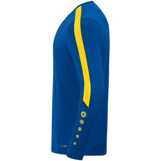 Hainichener FV Unisex Sweat royal/citro