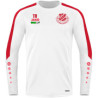 SG Frauendorf Herren Sweat