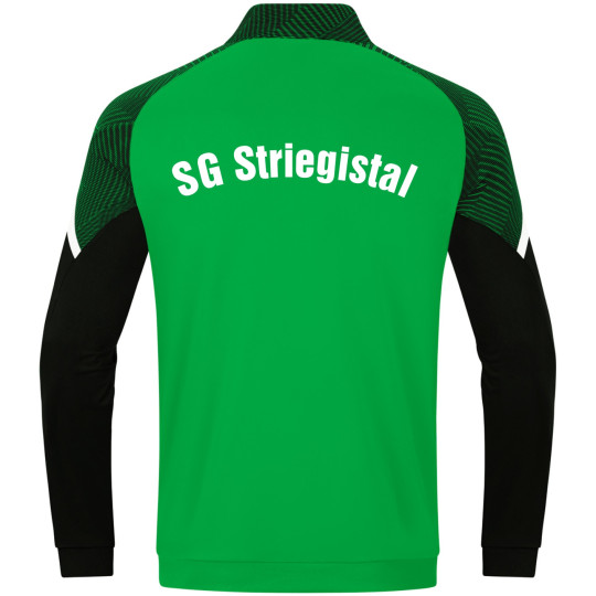 SG Striegistal Ziptop Unisex