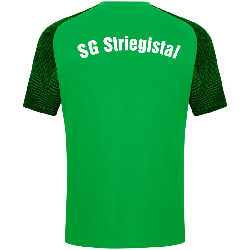SG Striegistal T-Shirt Unisex
