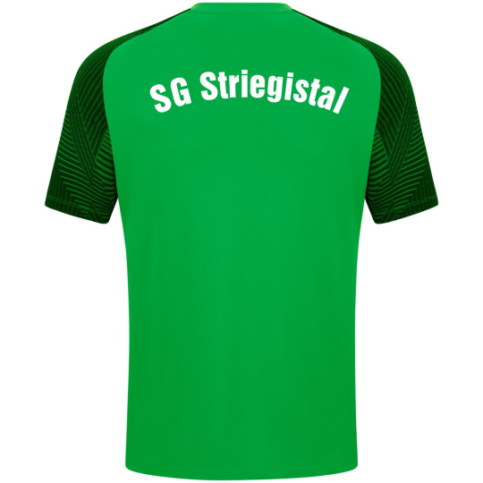 SG Striegistal T-Shirt Junior