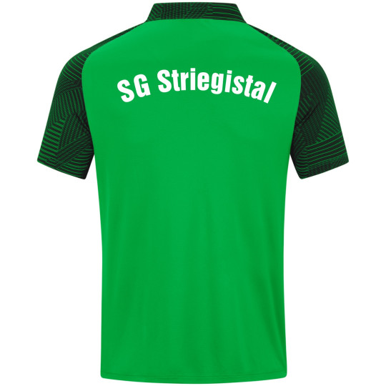 SG Striegistal Polo-Shirt Junior