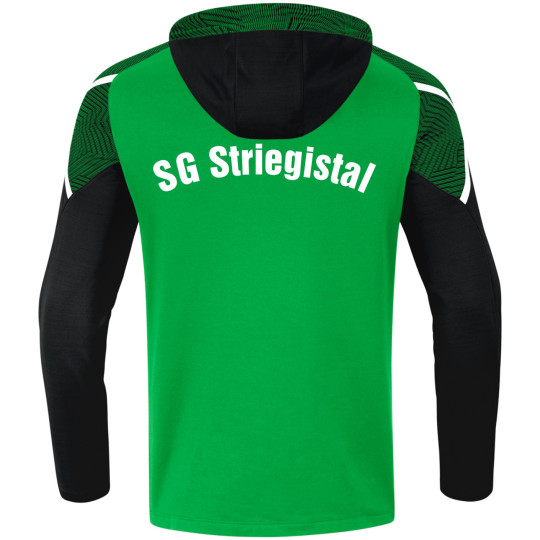SG Striegistal Kapuzensweat Junior
