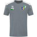 SpG Oederan-Niederwiesa Herren T-Shirt steingrau