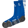 TV 1848 Bischofswerda Socken
