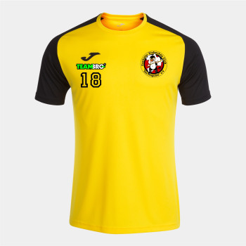 Freitaler Pinguine Junior  T-Shirt gelb/schwarz