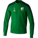 ERIMA EVO STAR Sweatshirt Kinder