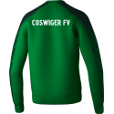 Coswiger FV Herren Sweatshirt