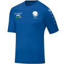 SC Chemnitz Herren Trainings Shirt royal SC Chemnitz Herren Trainings Shirt royal