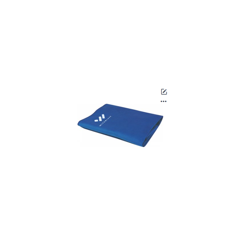 SC Chemnitz  Microfibre Handtuch blau