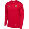 HUMMEL hmlAUTHENTIC PL JERSEY L/S