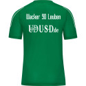 Wacker Leuben  Shirt Unisex grün  Wacker Leuben  Shirt Unisex grün