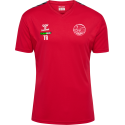 HUMMEL hmlAUTHENTIC PL JERSEY S/S