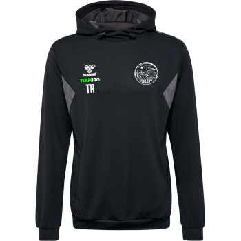 HUMMEL hmlAUTHENTIC PL HOODIE KIDS