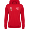 HUMMEL hmlAUTHENTIC PL HOODIE KIDS