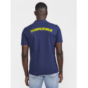 FSV Dippoldiswalde Herren Polo navy