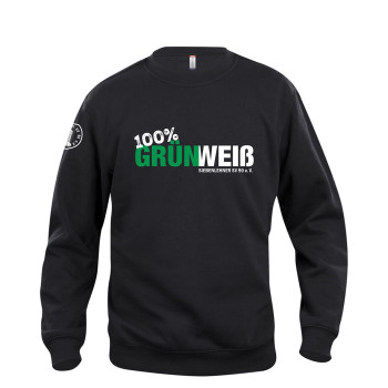 Siebenlehner SV Kinder Pullover schwarz "Grün Weiß"