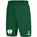 TSV Einheit Claußnitz Unisex Short grün