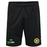 VfB 1999 Bischofswerda Kinder Trainingshose kurz