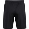 ATV 1848 Hainichen Herren Short Power schwarz