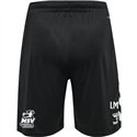 MSV Handball Dresden Trainingshose kurz Kinder