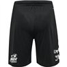 MSV Handball Dresden Trainingshose kurz Kinder