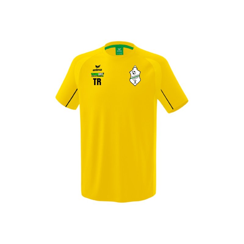 VfB Saxonia Halsbrücke Unisex Training T-Shirt gelb