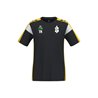 VfB Saxonia Halsbrücke Herren T-Shirt
