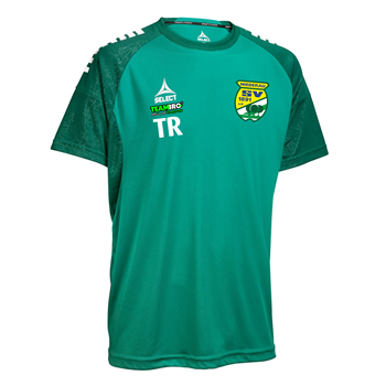 Trikot Kurzarm Spain v25